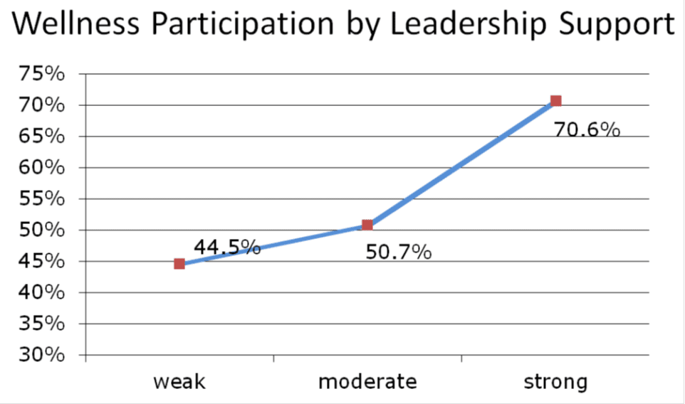 leadership for wellness programs