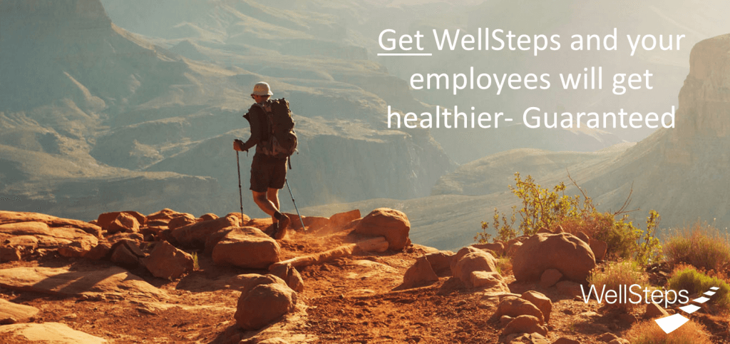 what are the benefits of a wellness program, how do wellness programs affect the workplace, what is the importance of employee wellness programs, what are 5 benefits of wellness