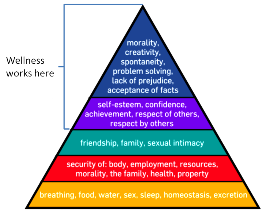 reasons to have a wellness program, benefits of employee wellness programs, benefits of implementing a workplace wellness program, advantages and disadvantages of wellness programs, wellness program goals and objectives, benefits and liabilities of wellness programs