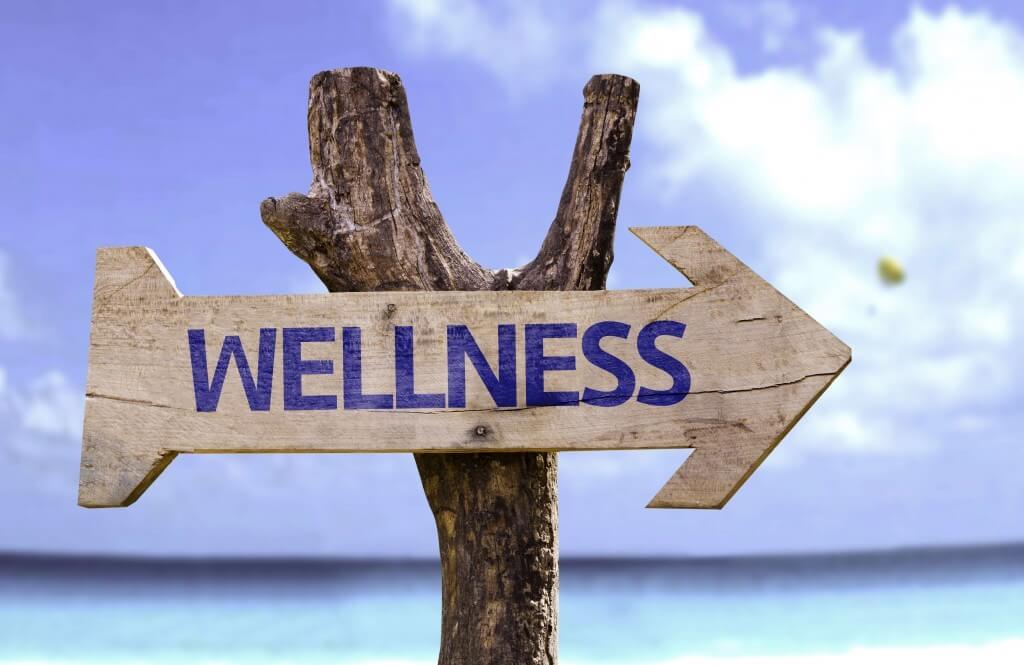best employee wellness programs, Employee wellness program template, corporate wellness program ideas, implementing a wellness program in the workplace