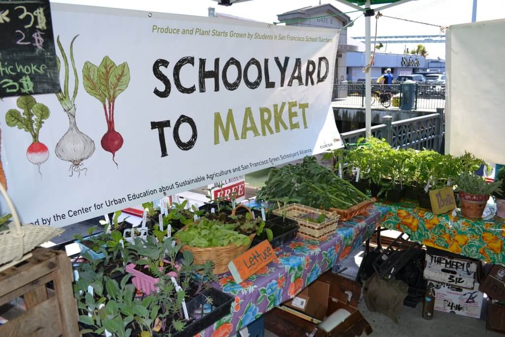 farmers market at school
