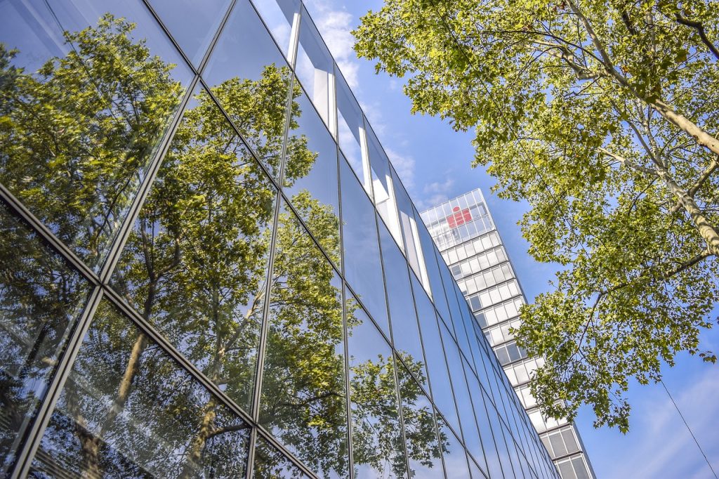 office wellness outside, office wellness employees outside, office employees outside