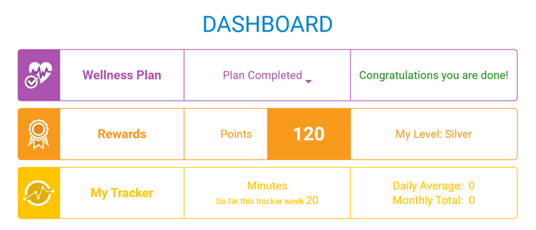 WellSteps dashboard