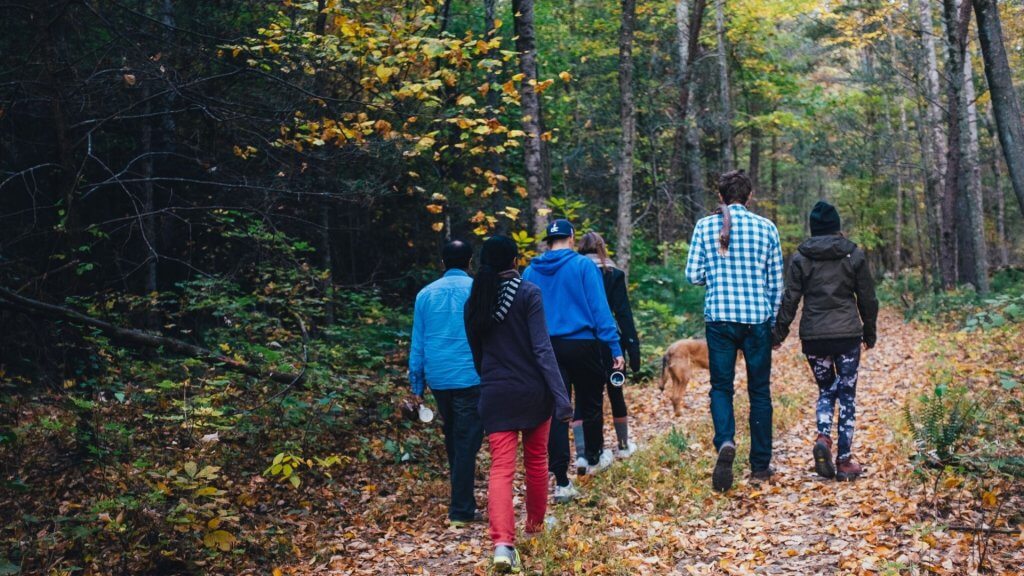 movement and group walking activities