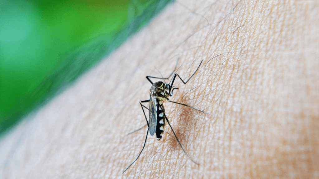 vector borne illnesses addressed in location specific wellness programs