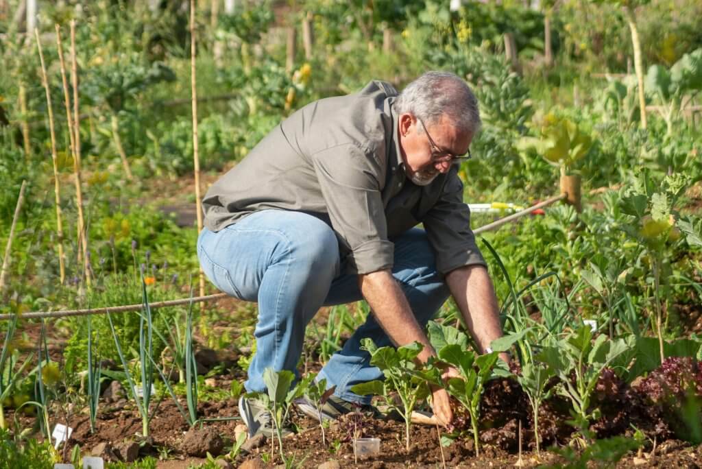 middle aged man in jeans with glasses pulling weeds in the company garden.