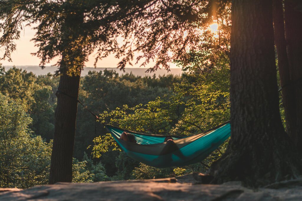 Person in a hammock in the forest watching the sunset. 