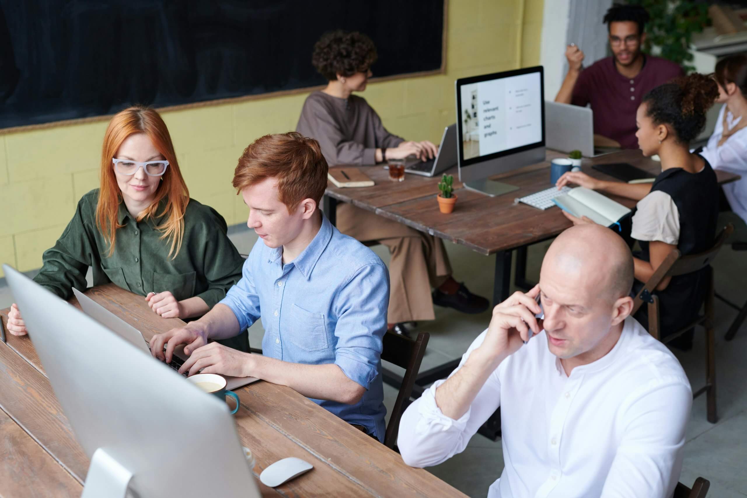 How to Approach Free Wellness Programs for Your Company