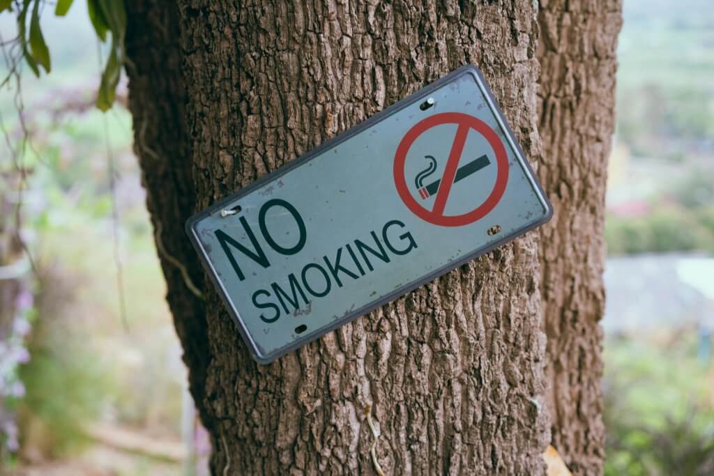 A metal no smoking sign on a tree promoting healthy habits for wellness at work.