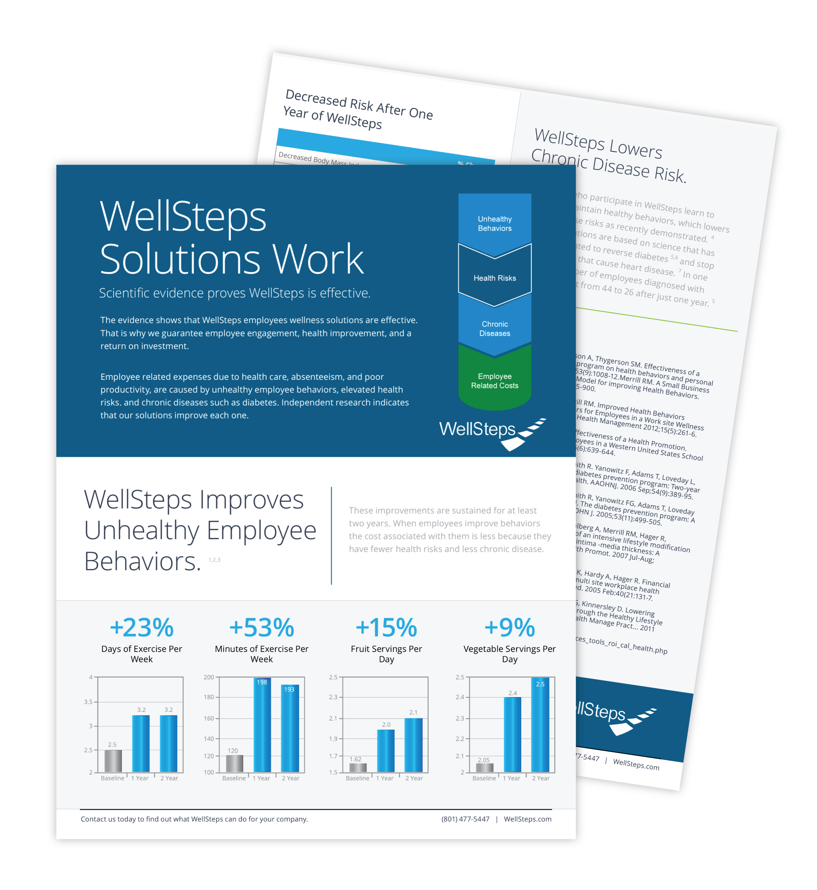WellSteps overview PDF