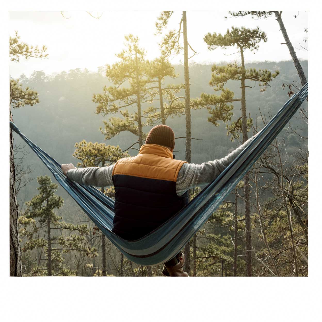 man sitting in hammock 